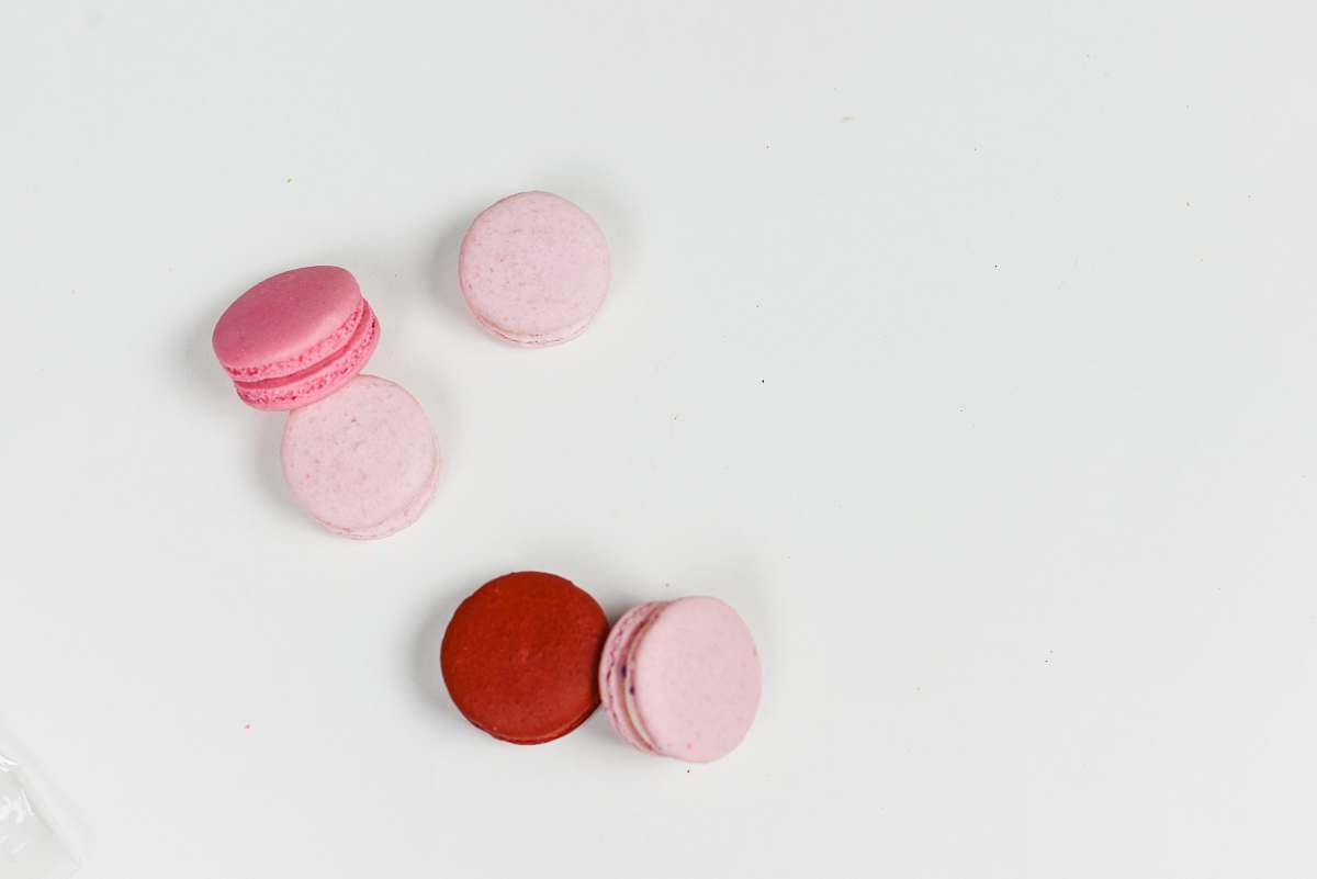 confectionery baked macaroons sweets