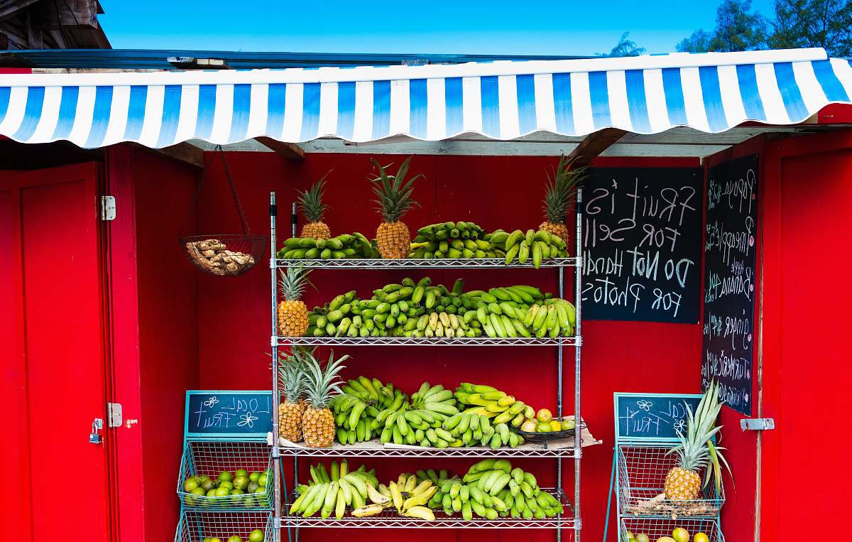 fruit banana fruit plant