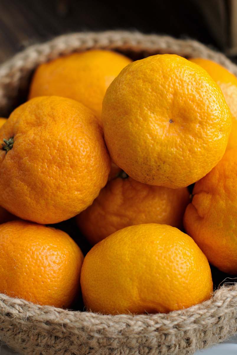 fruit basket of orange citrus fruit