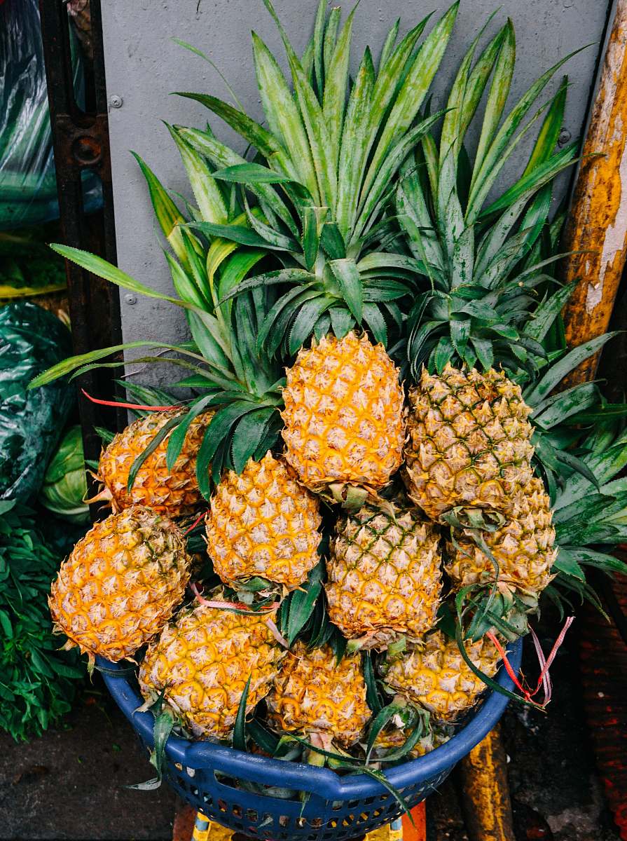 fruit basket of pineapples pineapple
