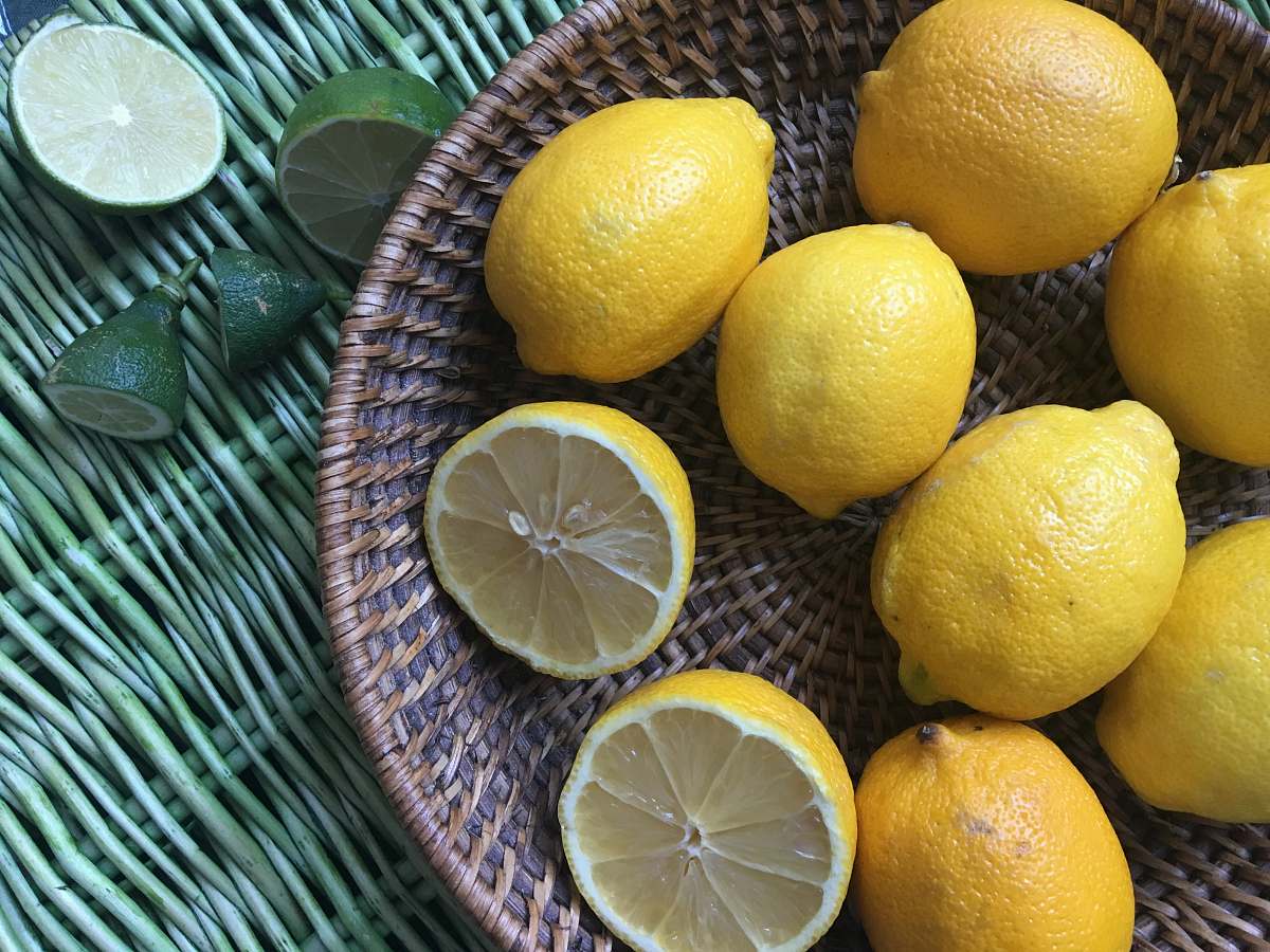 fruit basket of yellow lemons citrus fruit