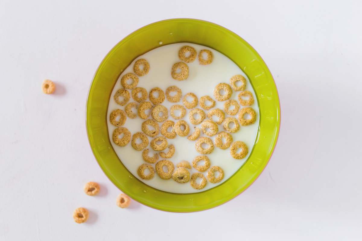 meal biscuit lot on white ceramic bowl dish