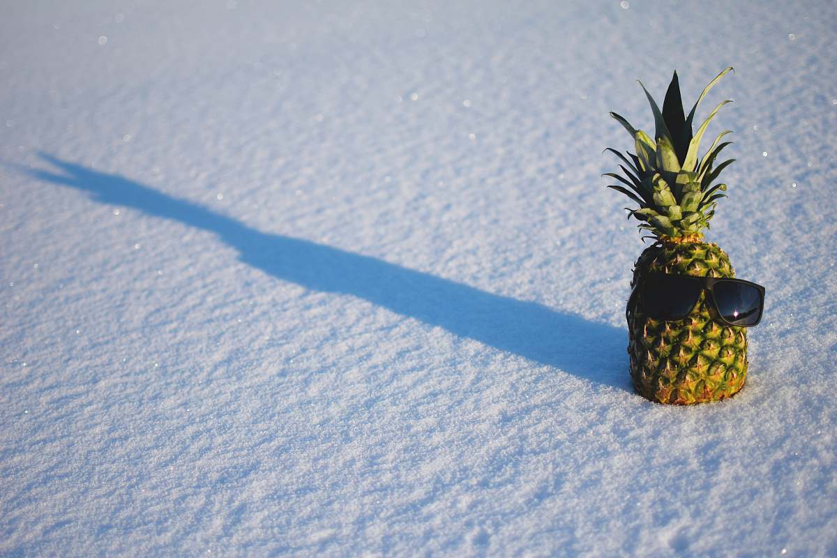 plant black sunglasses on green pineapple fruit fruit