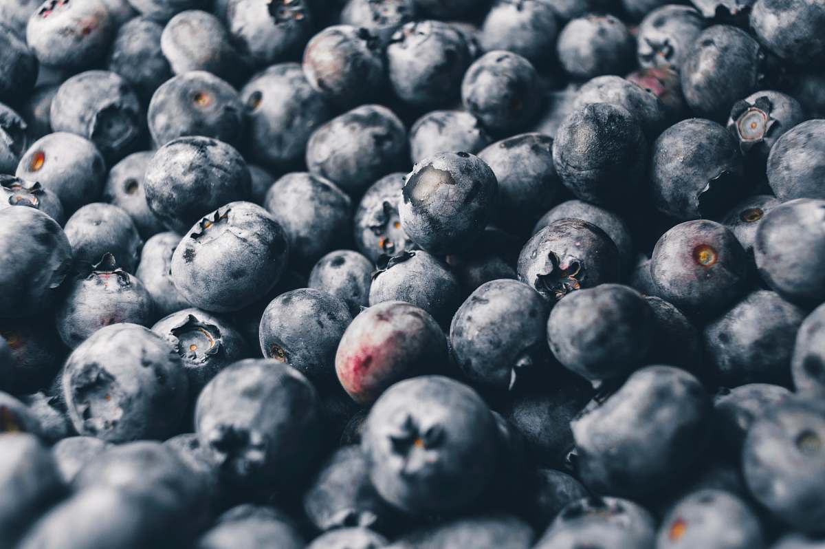 fruit blackberries bundle blueberry