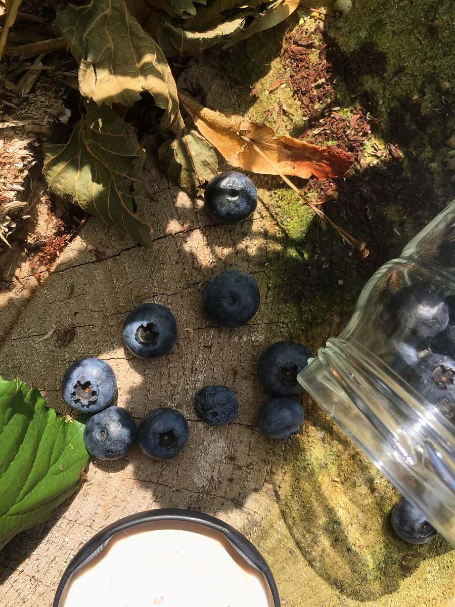 fruit blue berries near cut glass blueberry
