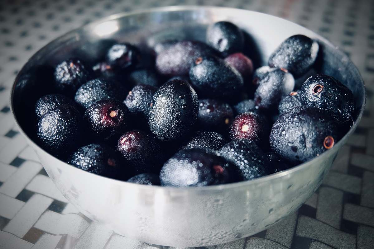 fruit blueberries fruit blueberry