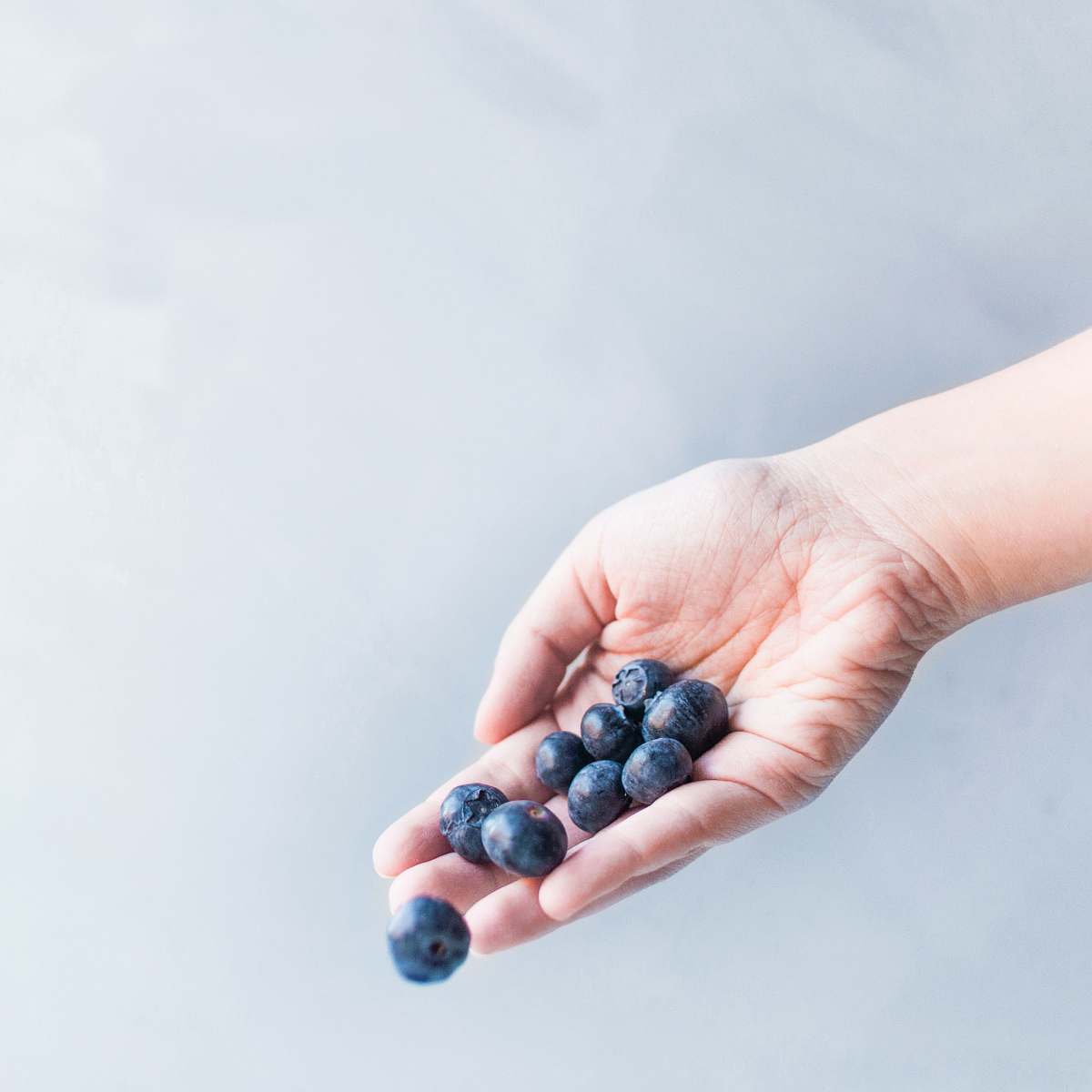blueberry blueberries on hand fruit