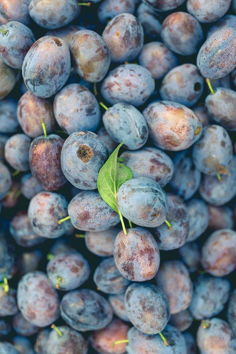 fruit Blueberry fruits plum