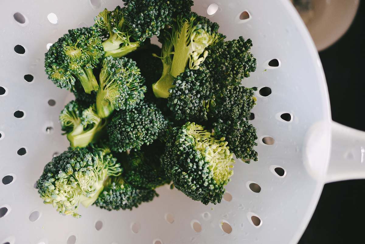 plant bowl of broccoli broccoli