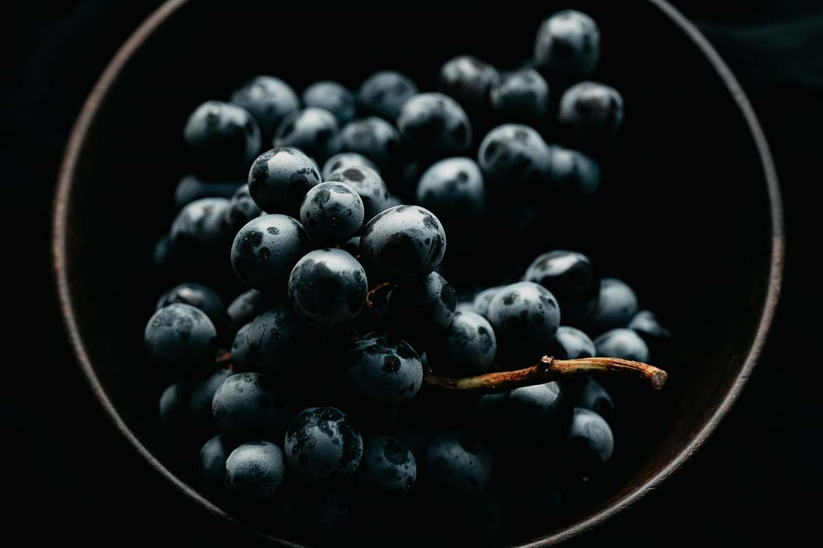 fruit bowl of grapes plant