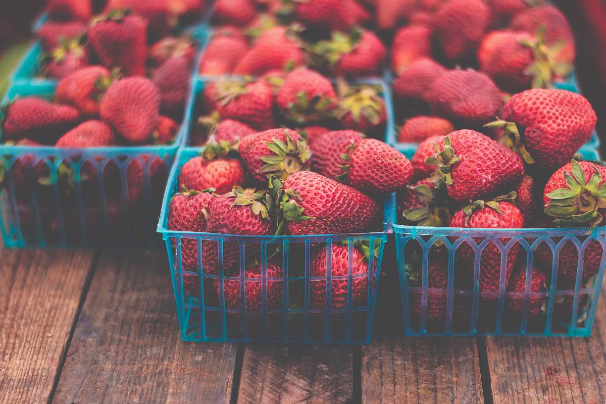 strawberry boxes of strawberries on table produce