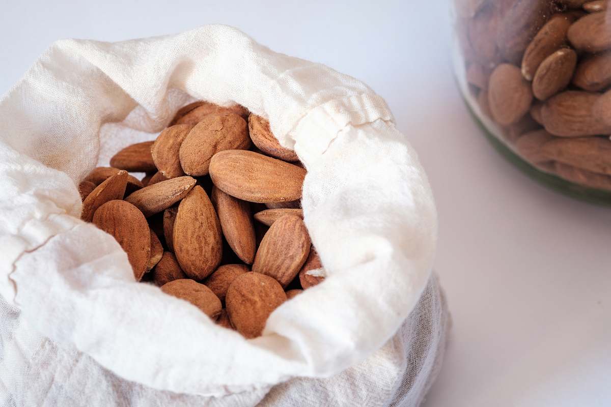 almond brown almond nuts nut