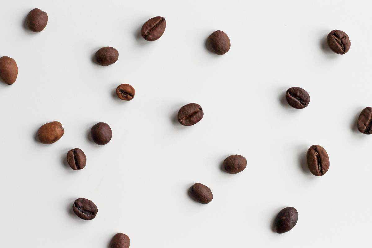 bean brown coffee bean lot flora