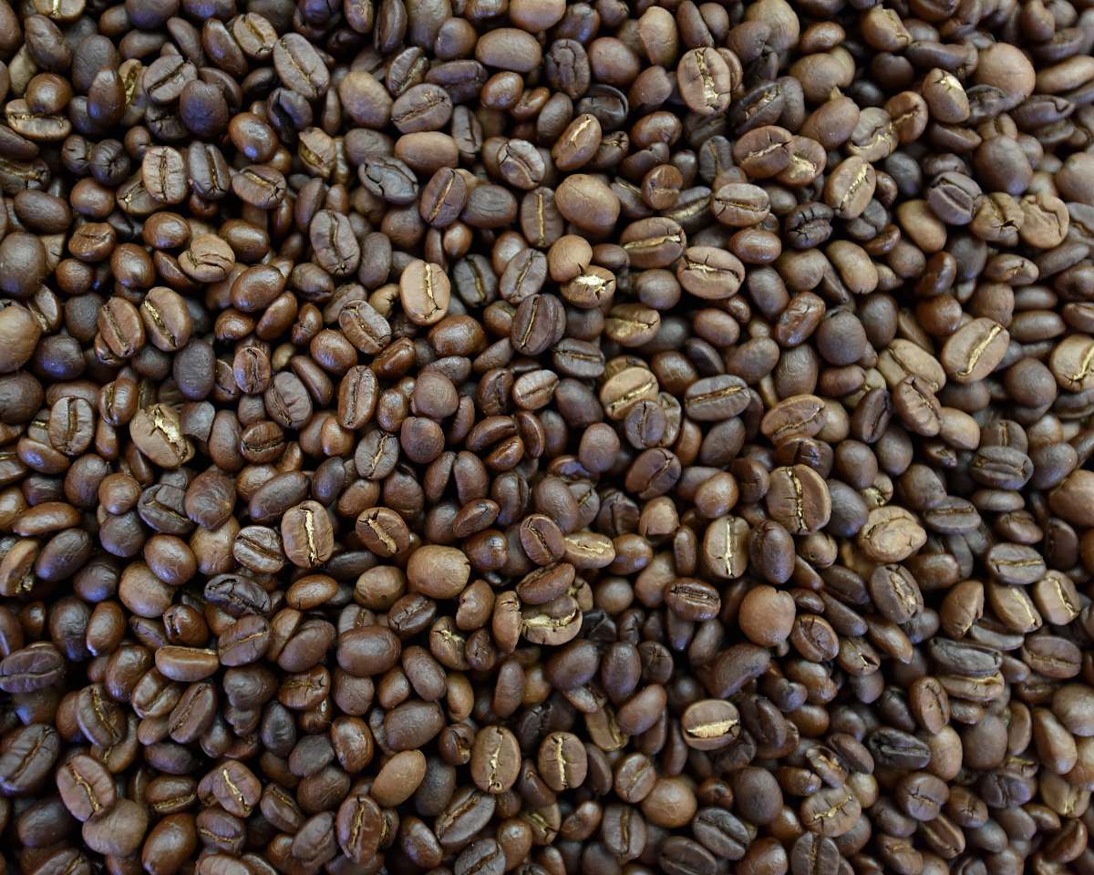 bean brown coffee beans flora