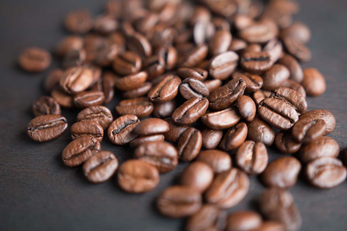 coffee brown coffee beans on gray surface bean