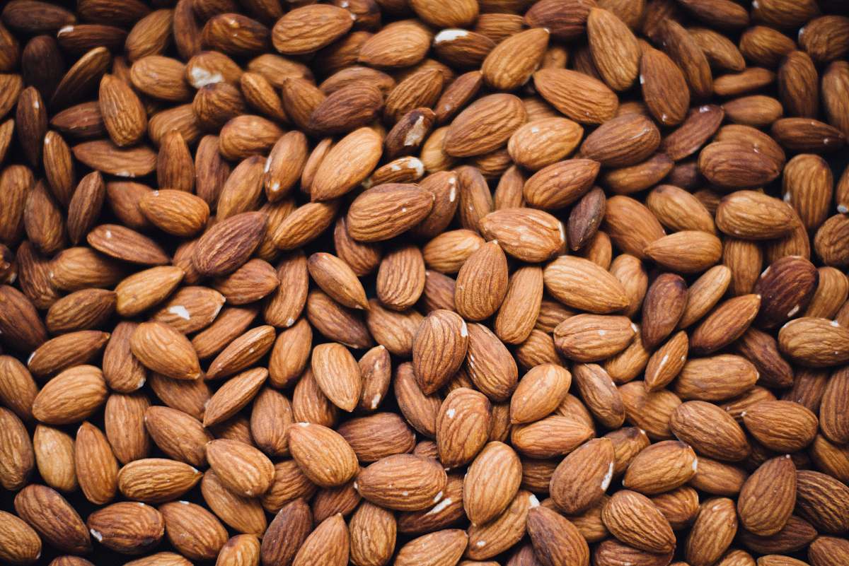 nut brown nuts flora