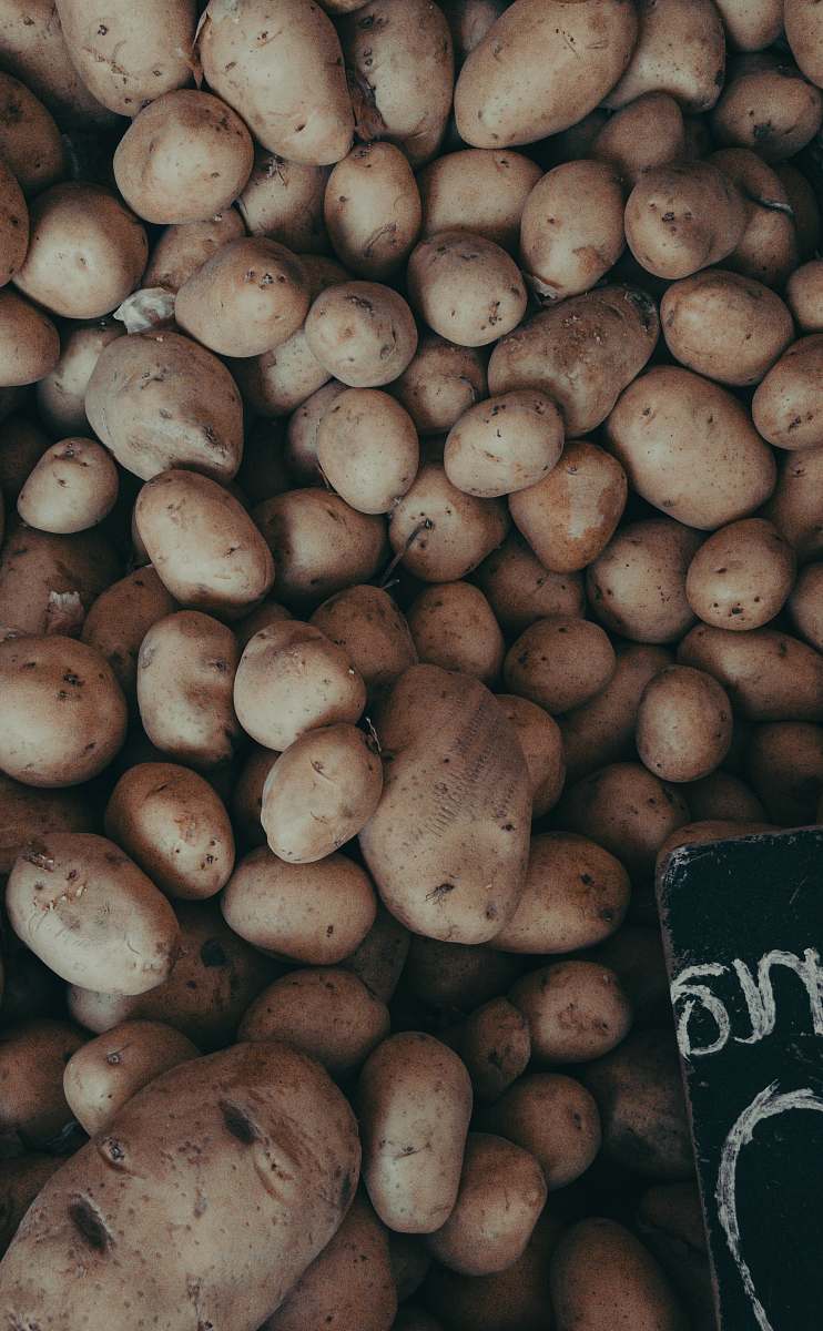 plant brown potatoes potato