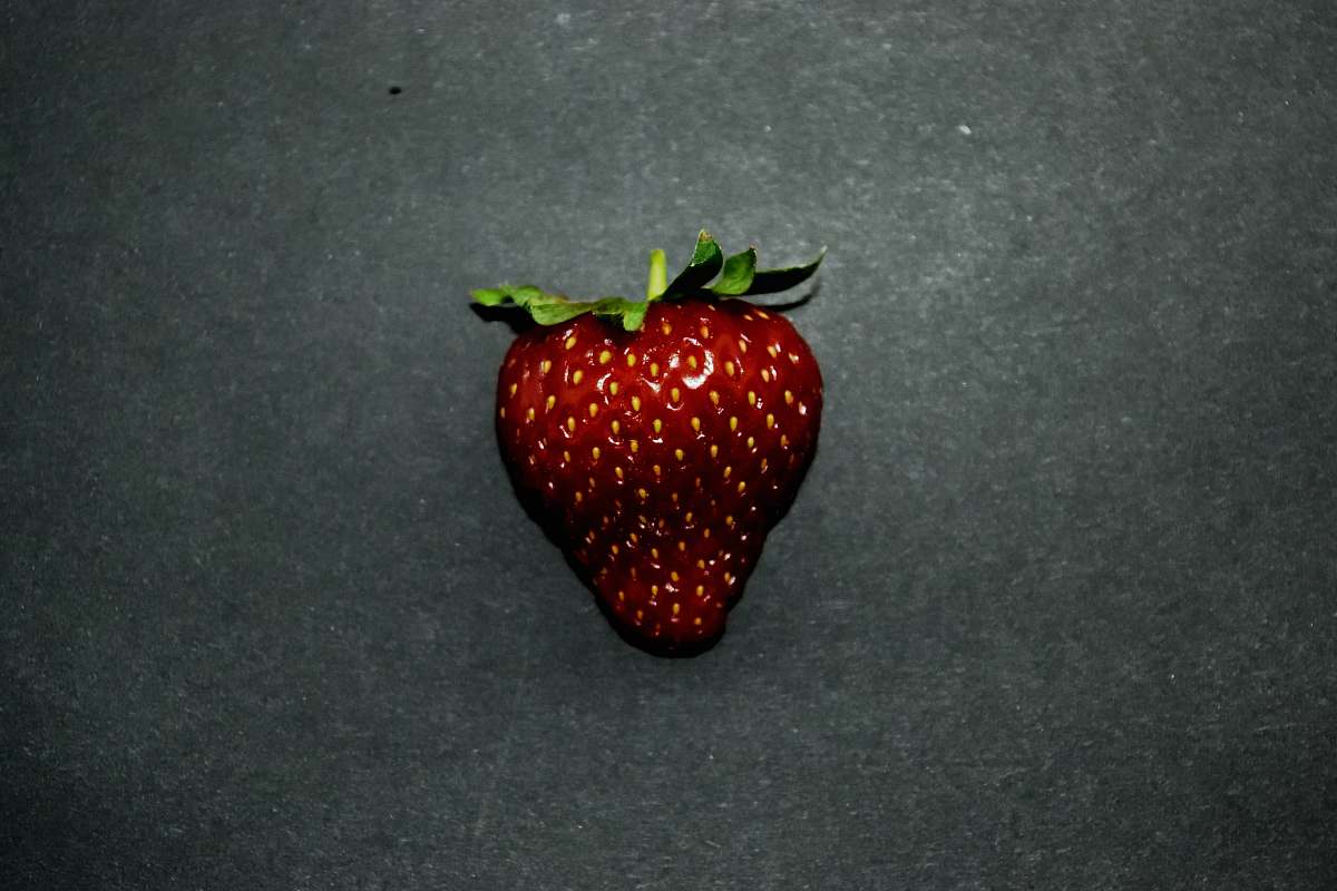 fruit brown strawberry plant