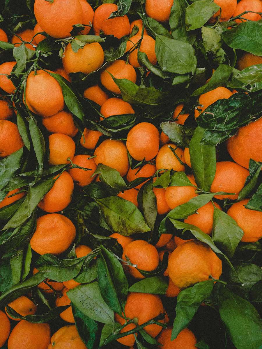 orange bunch of orange fruits fruit