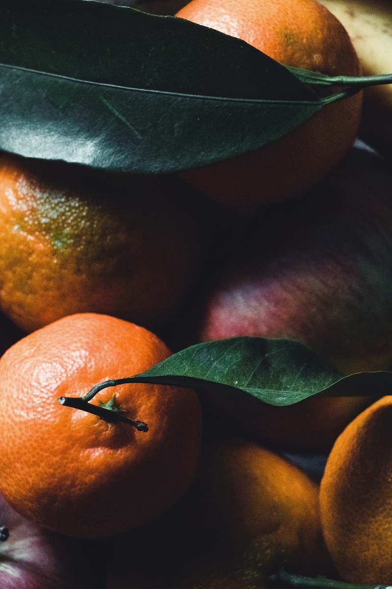 plant bunch of oranges citrus fruit