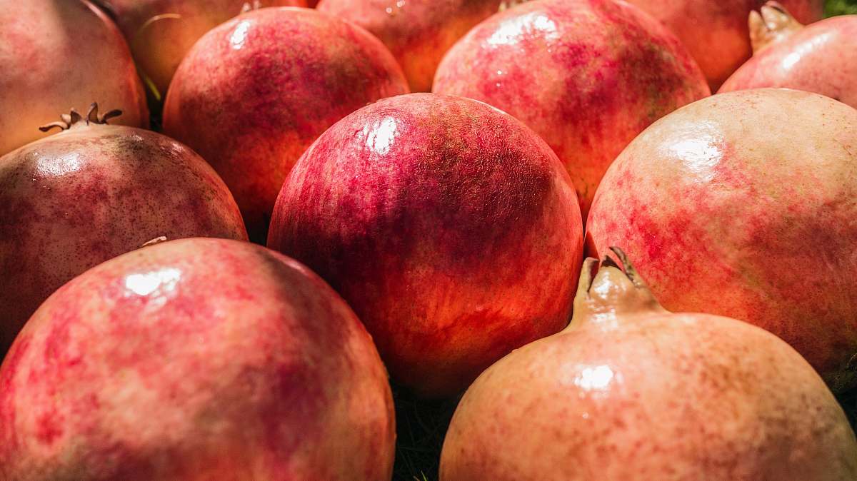 fruit bunch of red fruits apple