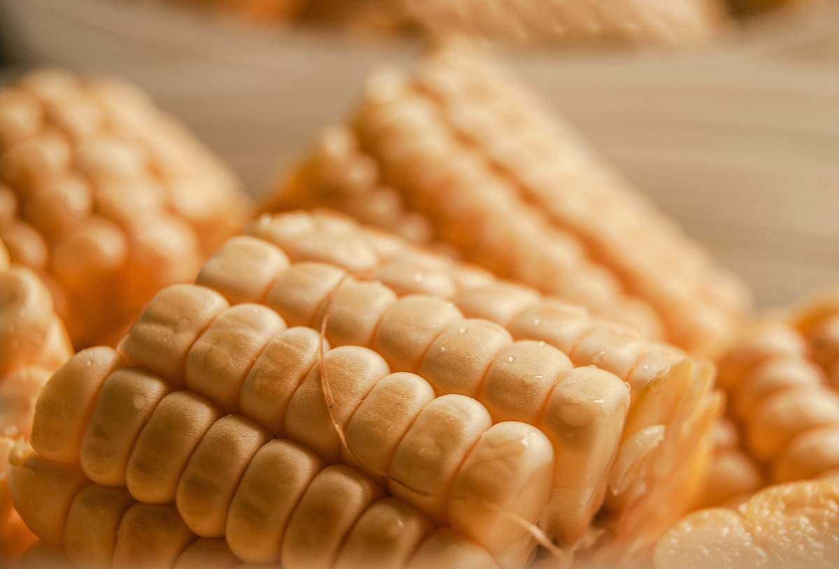 produce bunch of sliced corn corn