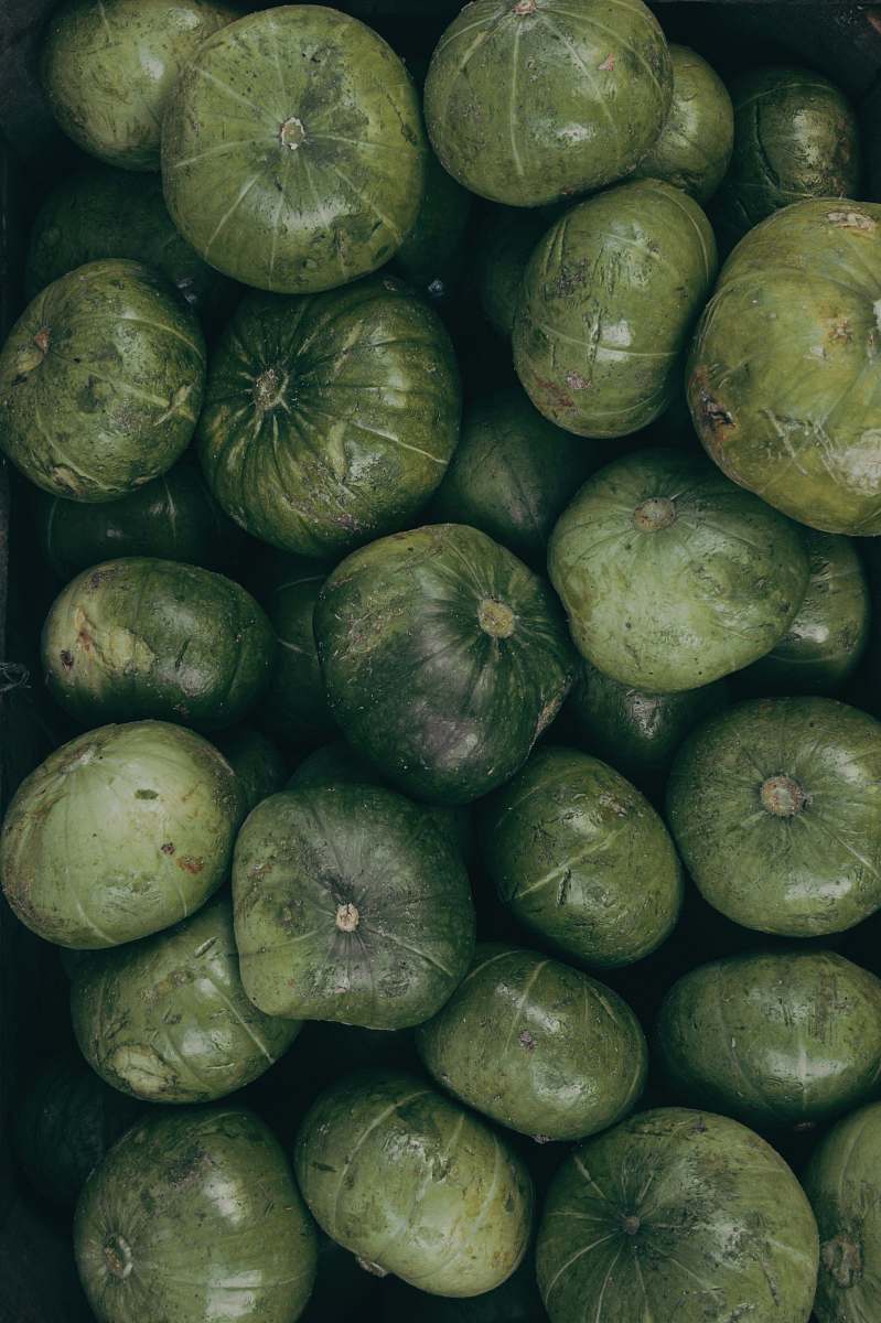 fruit bunch of squashes melon