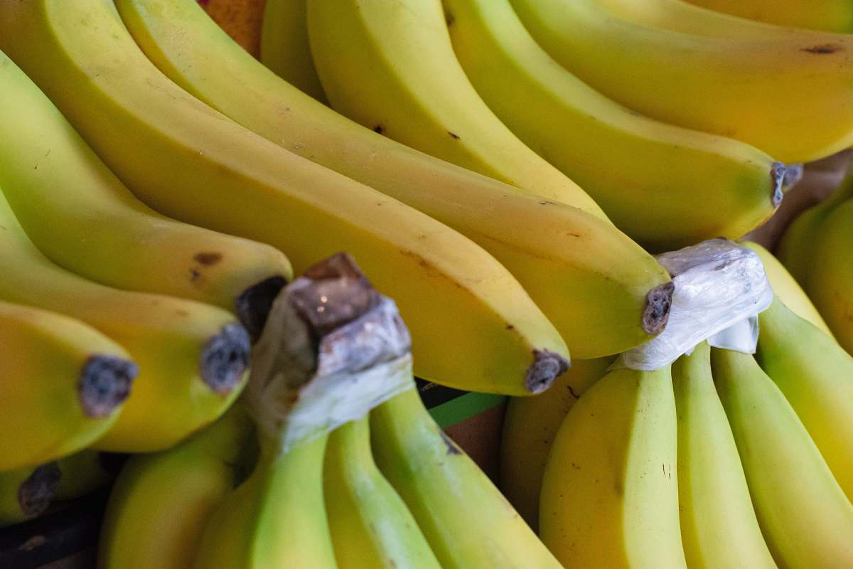fruit bundle of bananas banana