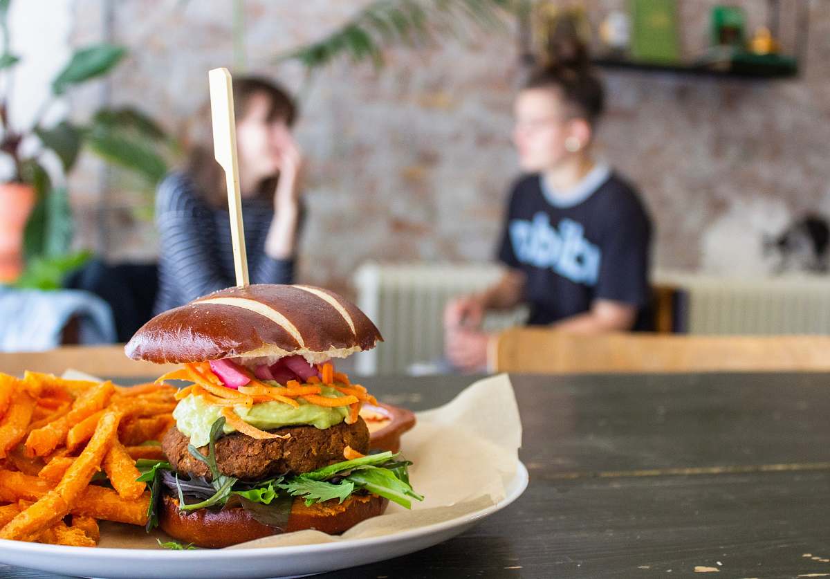 burger burger beside fries human