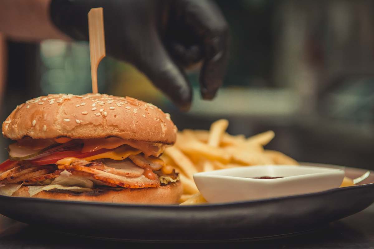 burger burger near fries human