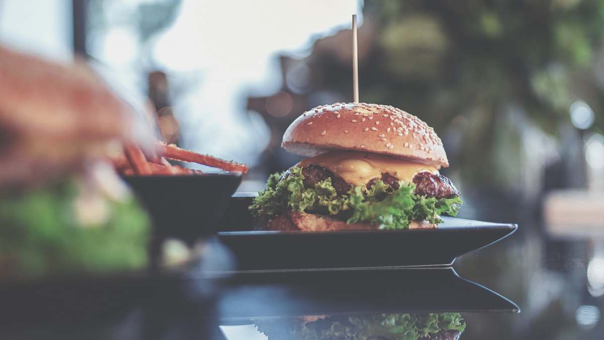 burger burger with lettuce and cheese on a plate human