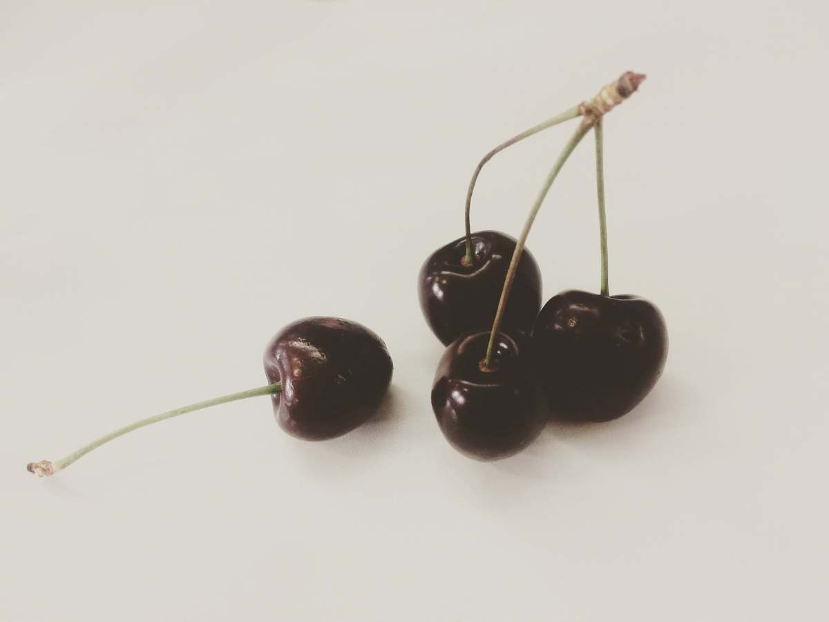 fruit cherry fruits on white background cherry
