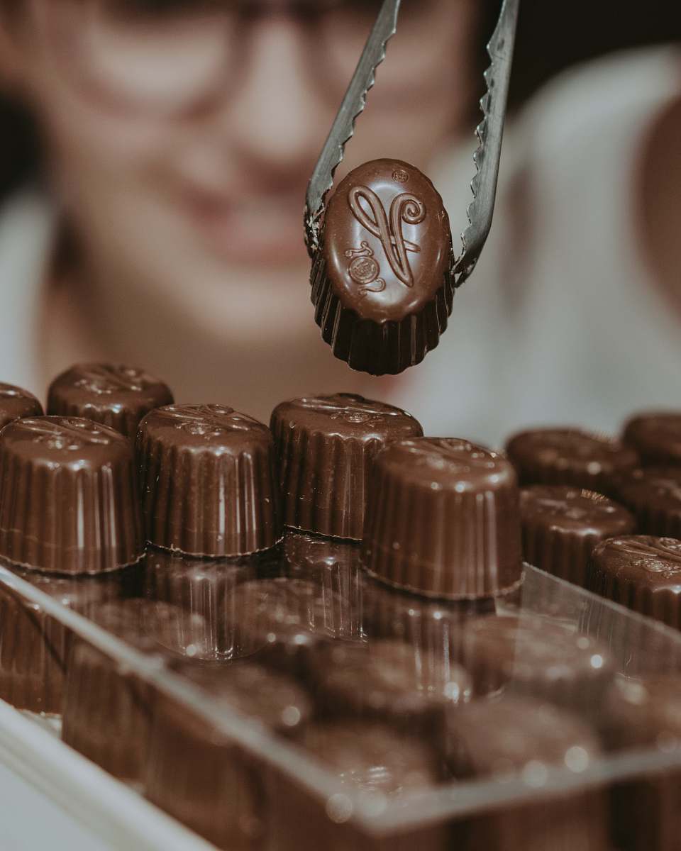 confectionery chocolate candy sweets