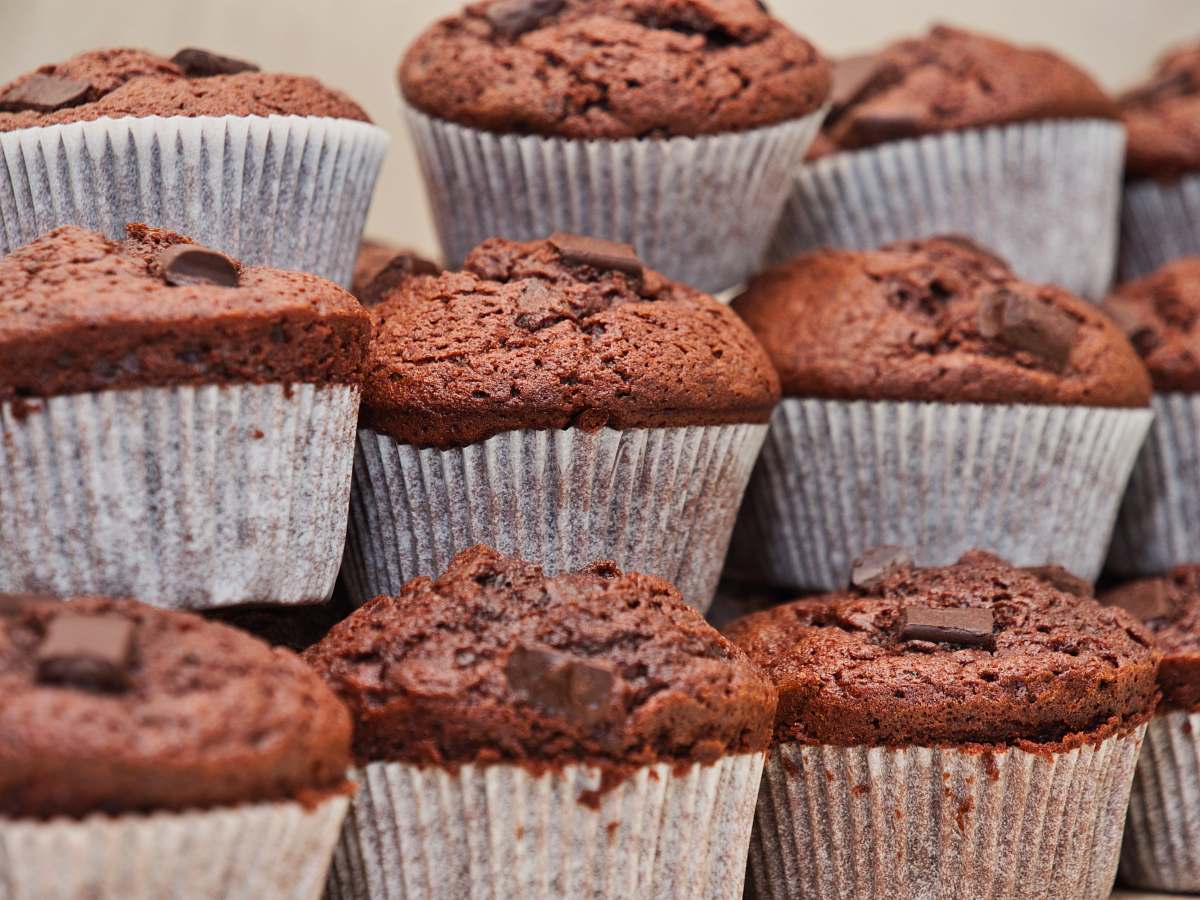 dessert chocolate cupcake lot close-up photography muffin