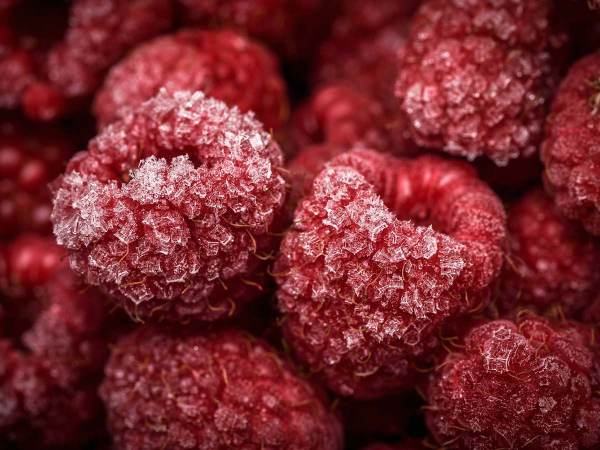fruit close-up photo of red fruits raspberry