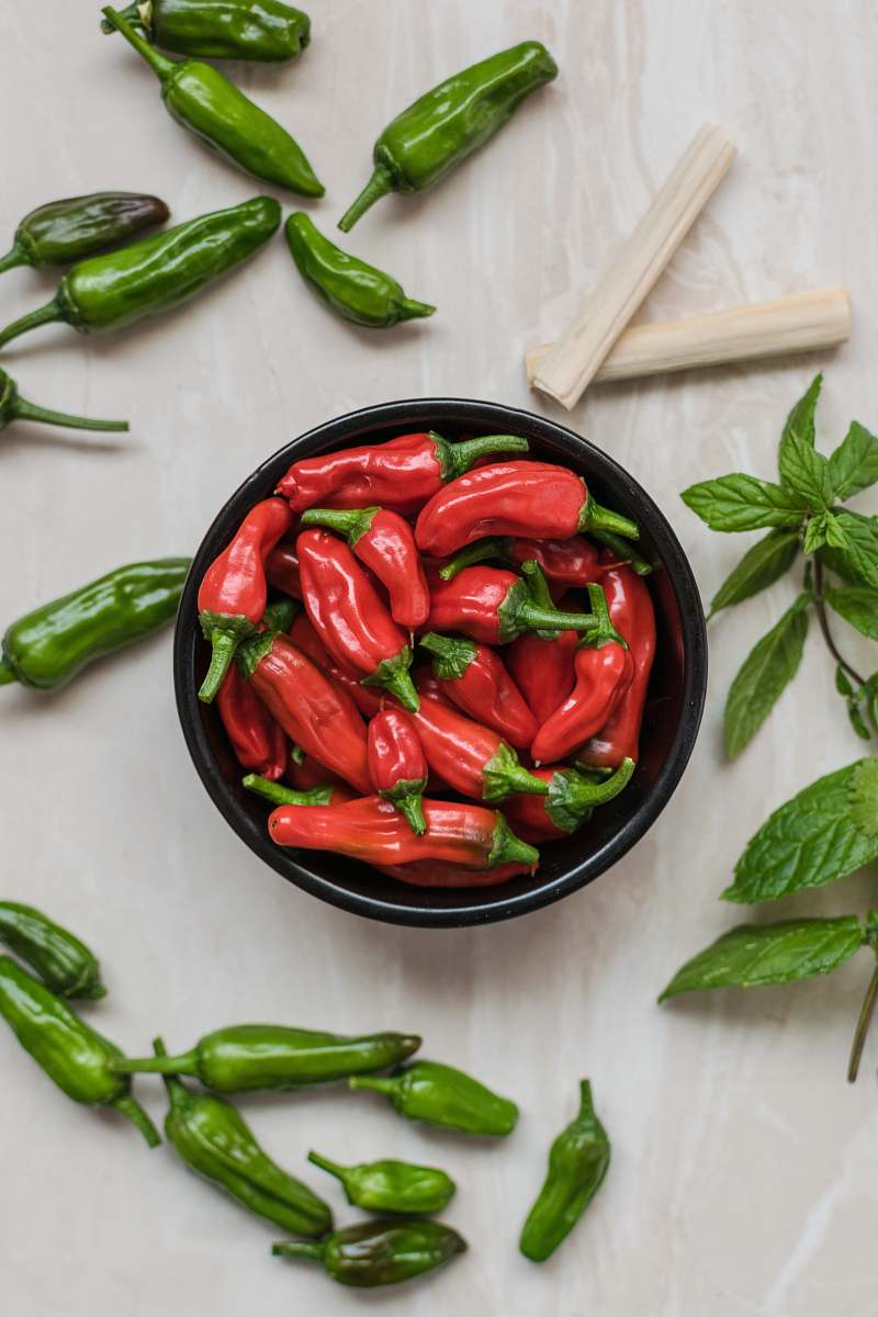 plant close-up photography of red bell peppers surrounded by green bell peppers pepper