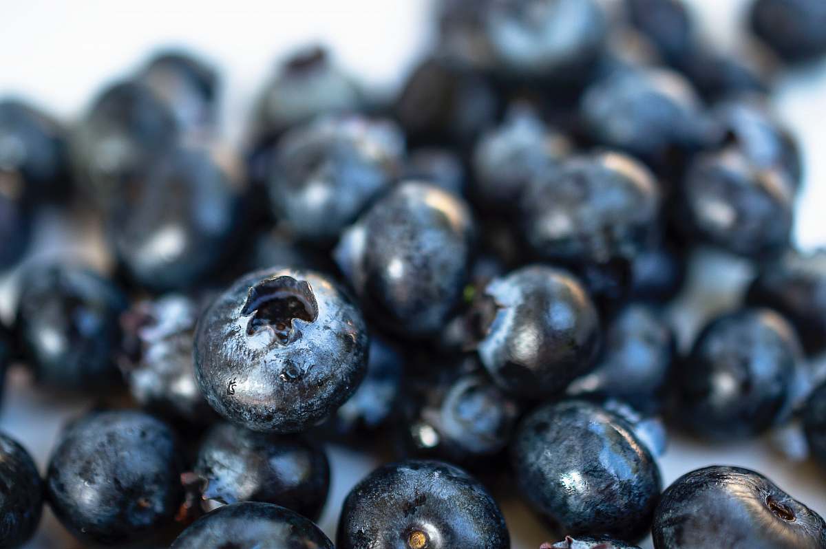 fruit closeup photo of blackberry blueberry