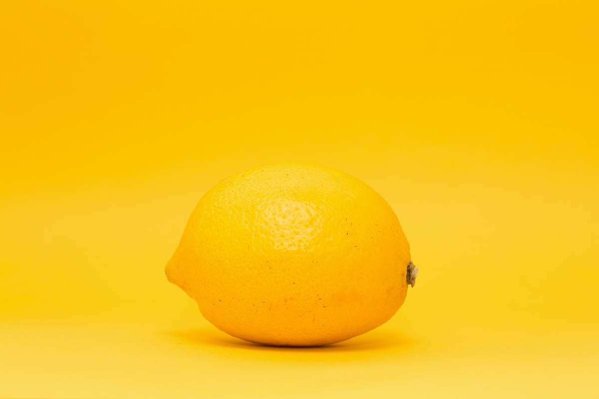fruit closeup photo of yellow lemon lemon
