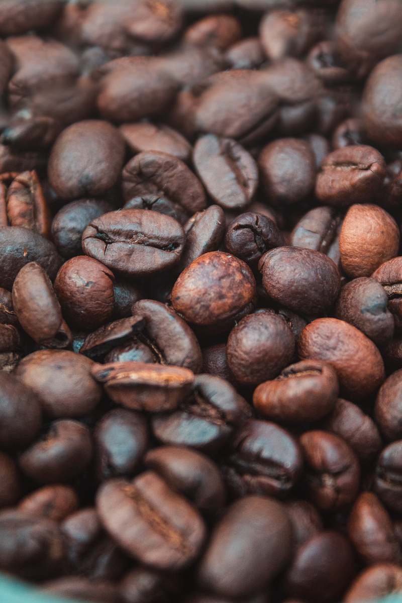 bean closeup photography of coffee beans flora