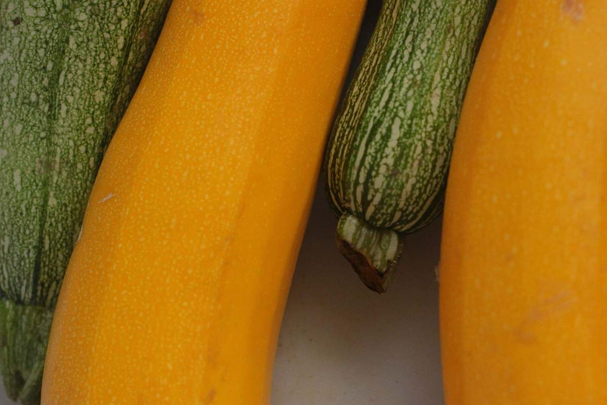 plant closeup photography of yellow and green vegetables produce