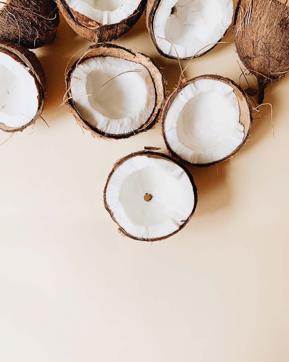 plant coconuts on white surface vegetable