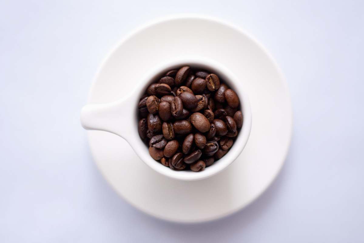 bean coffee bean filled coffee cup with matching saucer coffee
