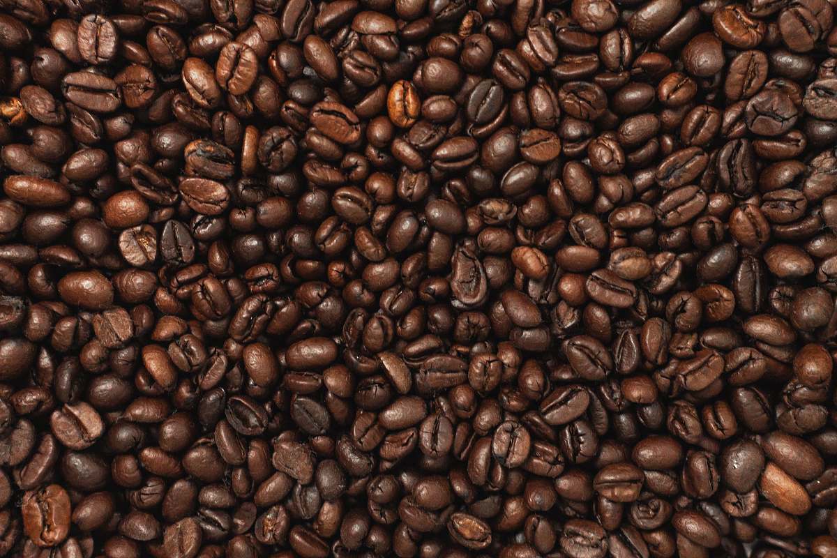 vegetable coffee beans plant