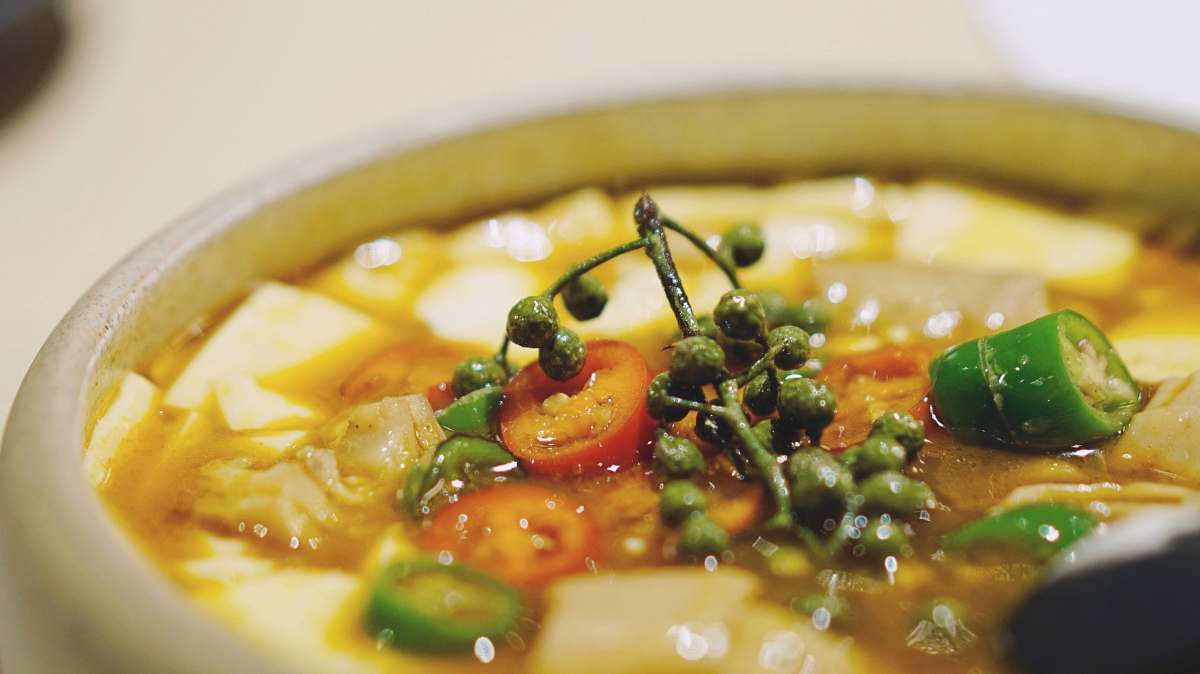meal cooked dish dish