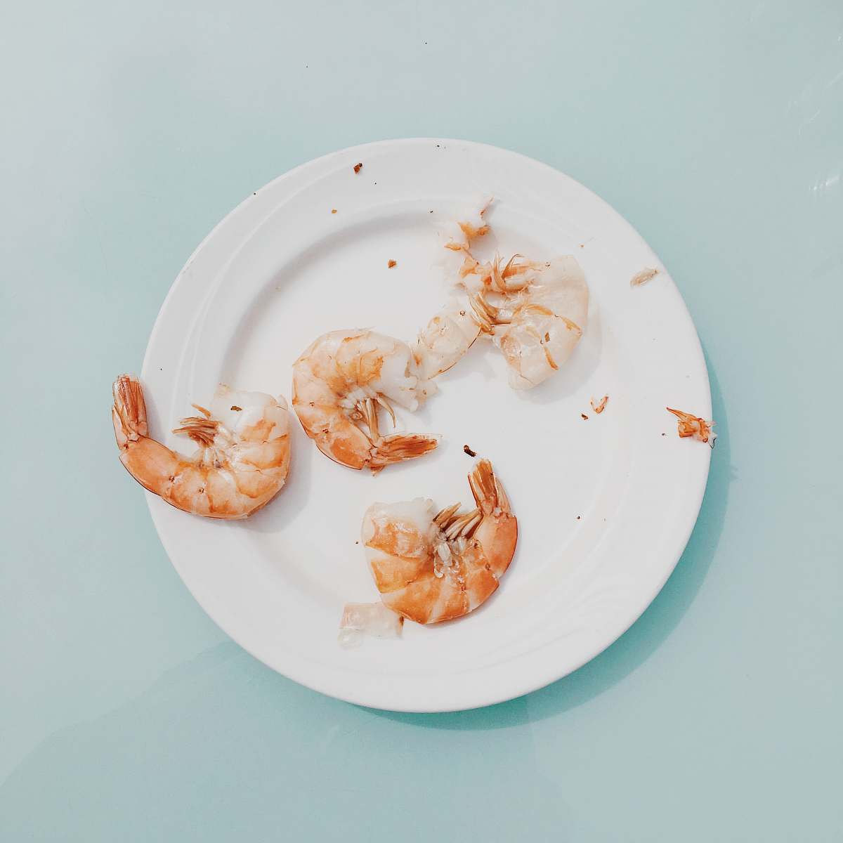 animal cooked shrimps on white plate shrimp