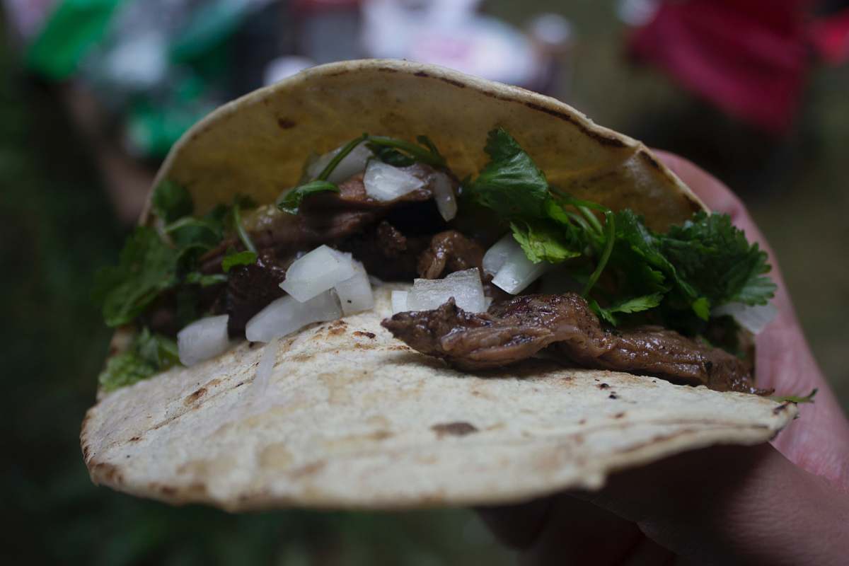 bread cooked tacco pita