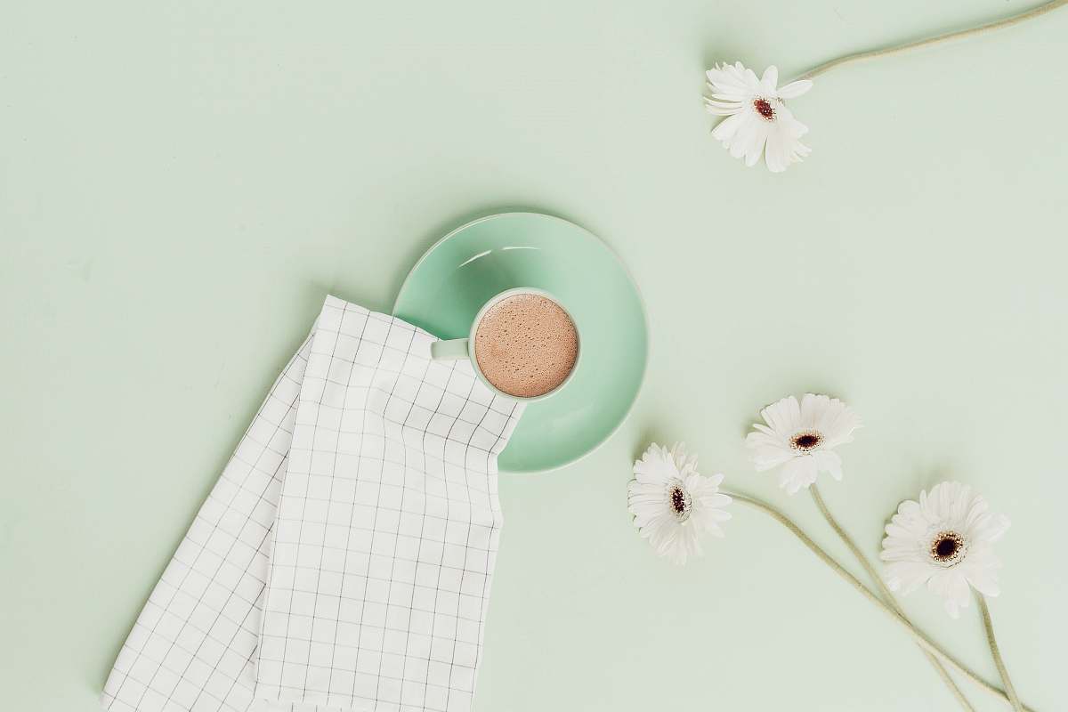 plant cup of beverage with daisies egg