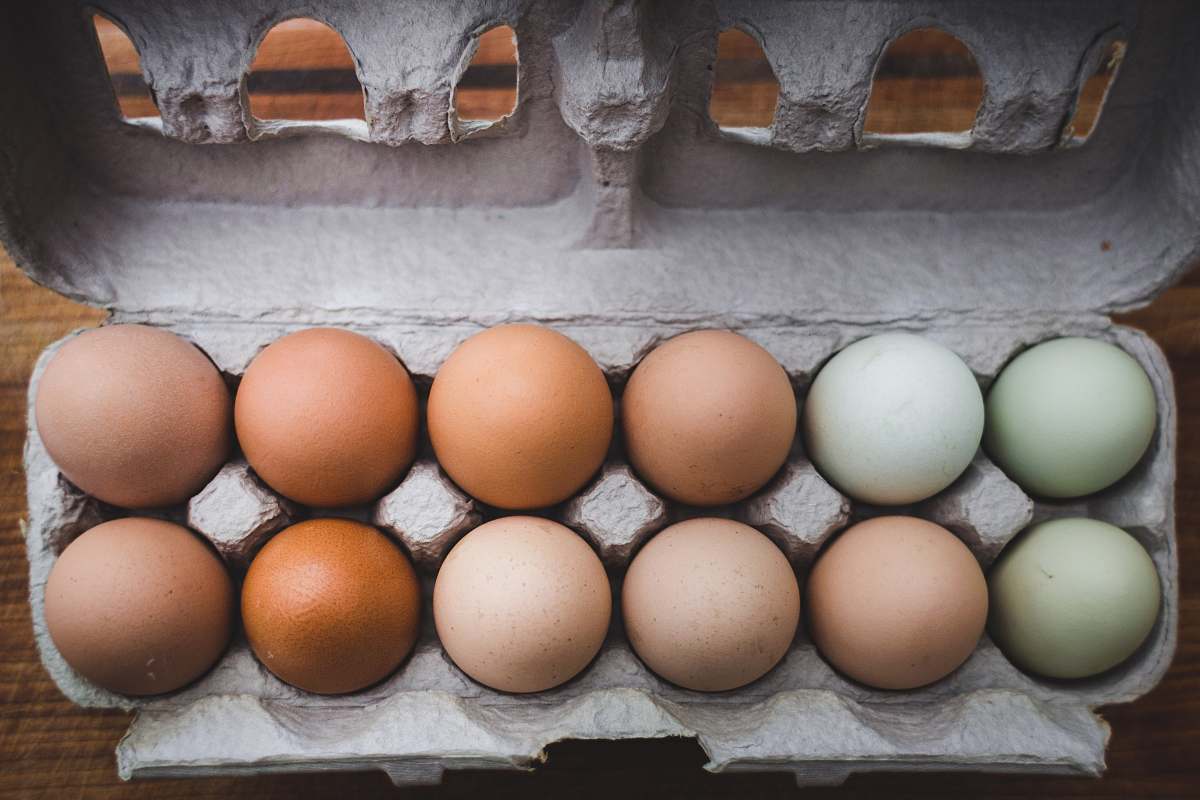 egg egg piled on tray box