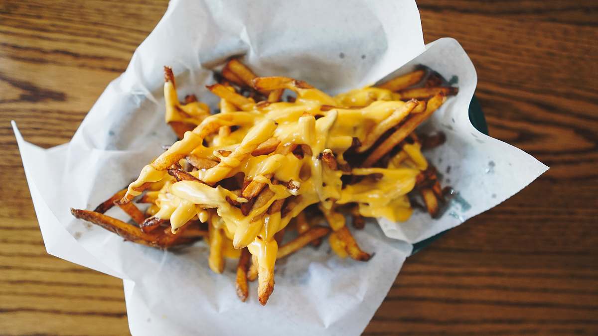 fries fires on paper animal
