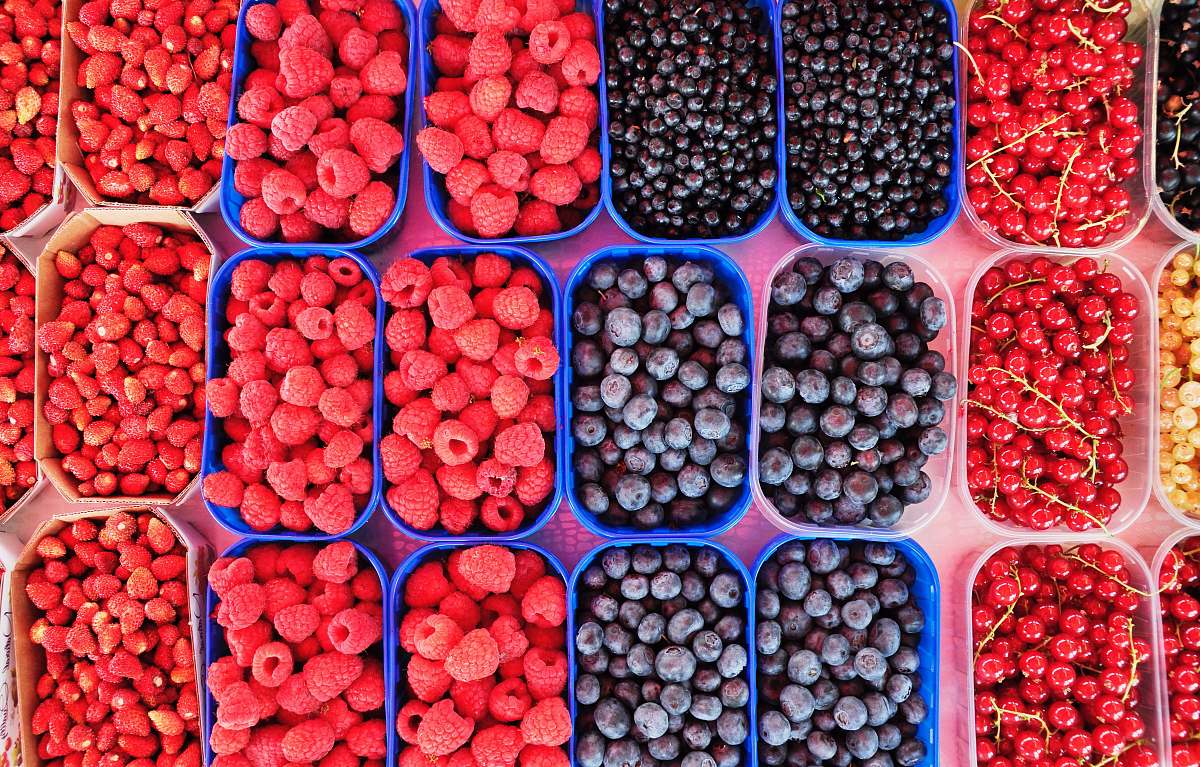 fruit flat lay photography of boxes of berries blueberry